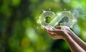 Validada la metodología del kit formativo para gestores de transición en economía circular del proyecto europeo CirCLER