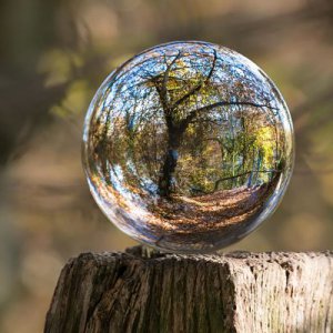 Centre d'Estudis de Dret Ambiental de Tarragona