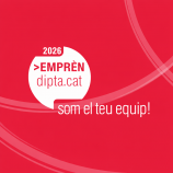 Programa Corporate CATSUD per connectar empreses i ecosistema innovador